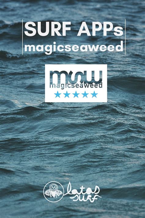 Magic Seaweed: Your Ultimate Surfing Companion